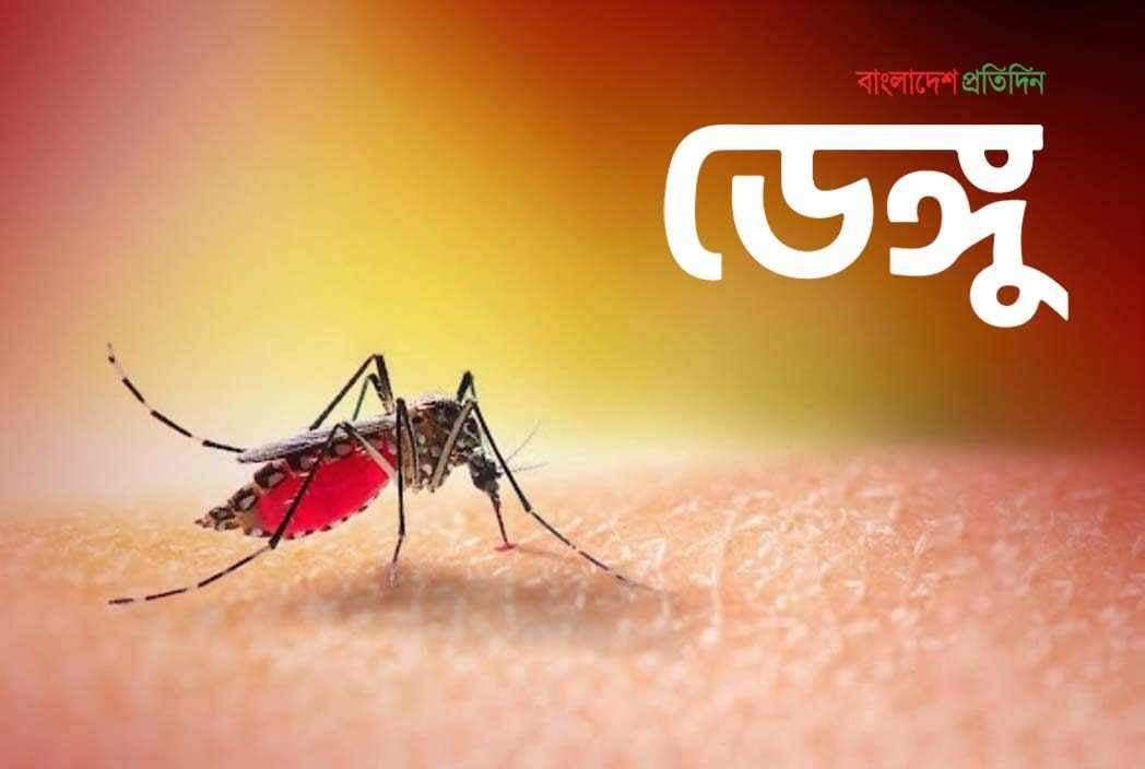 ২৪ ঘণ্টায় ডেঙ্গু আক্রান্ত হয়ে হাসপাতালে ভর্তি ২৮